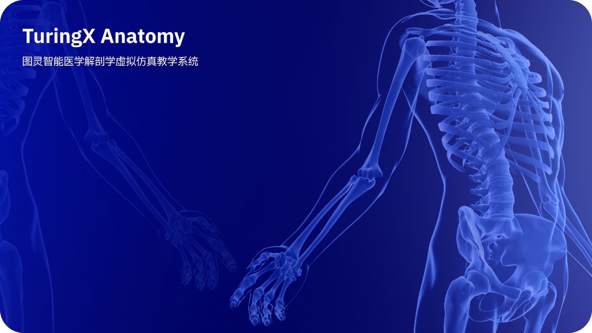 Slide 2